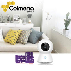 MICROSD 256GB PARA VIDEO VIGILANCIA - PURPLE